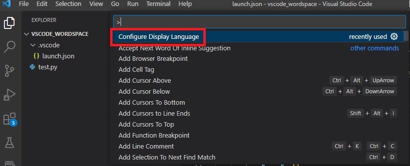 「Configure Display Language」を選択